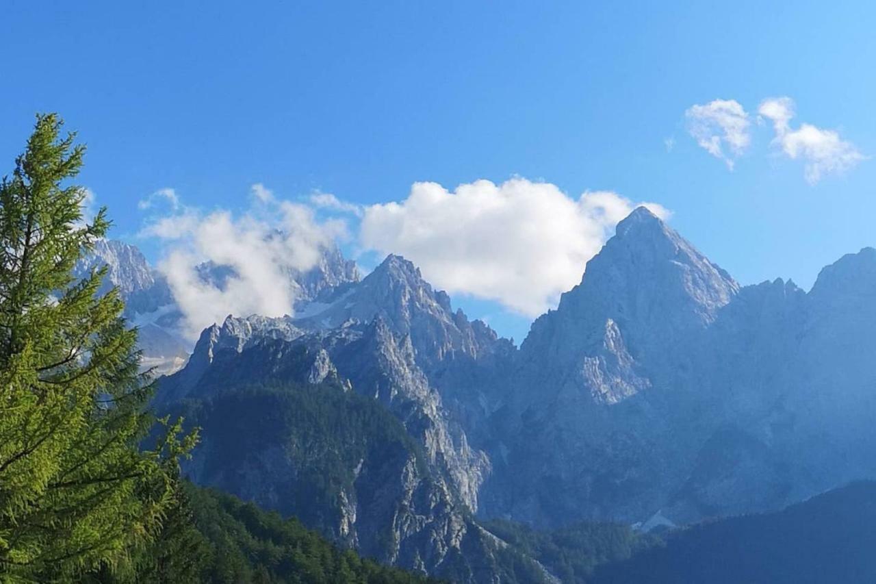 Apartmaji Gaby Gozd Martuljek Esterno foto